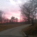 The sunset as I was taking my evening walk was quite beautiful tonight.
